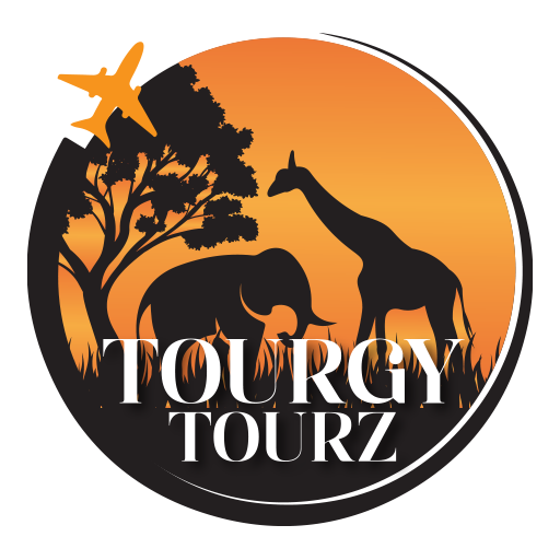 Tourgy Tourz